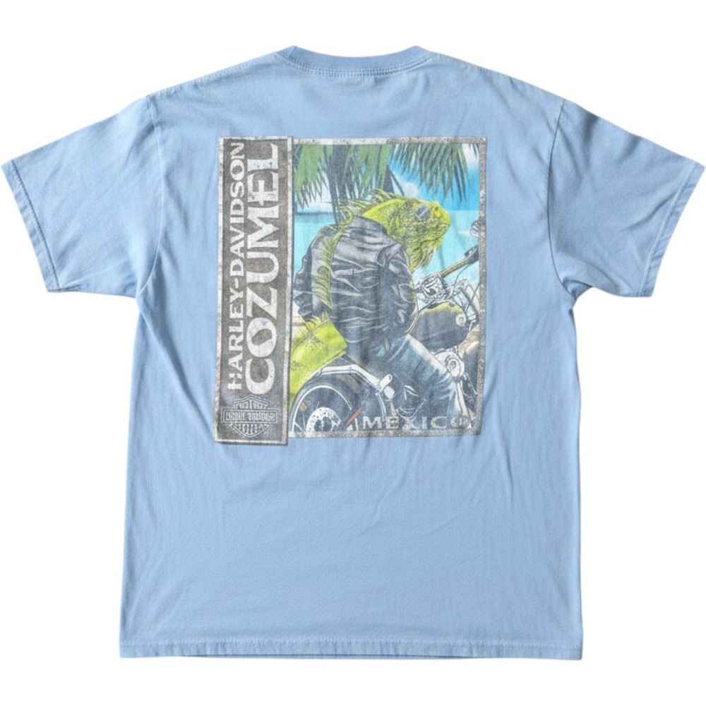 Harley Davidson Cozumel Mexico Iguana Graphic T-Shirt Blue Mens Large